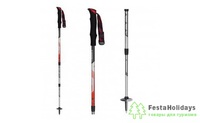 Палки треккинговые Masters Summit Light Red