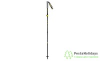 Палки треккинговые Masters TRECIME CARBON EXPERT TRAIL